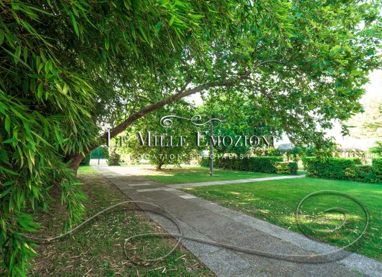 #slider-caption-1 image 1