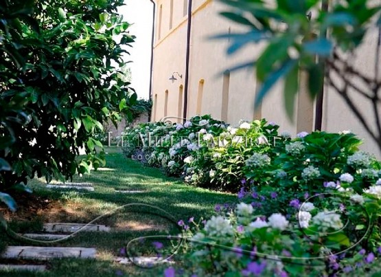 #slider-caption-1 image 1